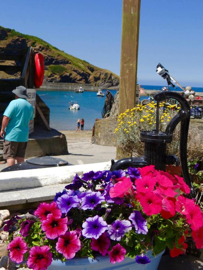 The Slipway B&B Port Isaac Exterior photo